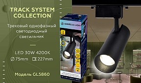 Светильник на штанге Ambrella Light GL черный арт. GL5860