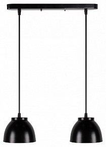 Подвесной светильник Apeyron Electrics  черный арт. 16-63