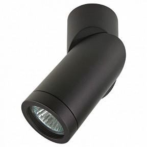 Светильник на штанге Lightstar Illumo черный арт. 051017