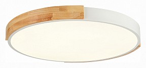 Накладной светильник EVOLUCE Delia белый арт. SLE201352-01