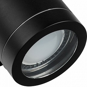 Накладной светильник Lightstar Paro черный арт. 351617