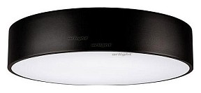 Накладной светильник Arlight SP-TOR-PILL-R400-25W Day4000 (BK, 120 deg) черный арт. 022996(1)