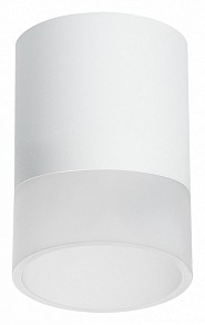 Накладной светильник Lightstar Rullo белый арт. R348681