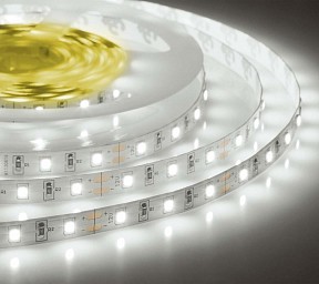 Лента светодиодная ELFLED  белый арт. ELF-300SMD2835NWw6500-u