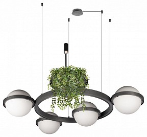 Подвесная люстра Loft it Jardin серый арт. 10121/4 Dark grey