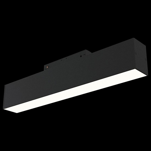 Накладной светильник Maytoni Track lamps черный арт. TR012-2-12W3K-B