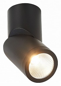 Светильник на штанге ST-Luce ST650 черный арт. ST650.442.10