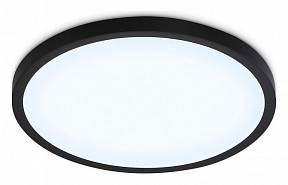 Накладной светильник Ambrella Light FZ черный арт. FZ1957