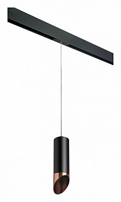 Подвесной светильник Lightstar Rullo черный арт. PRORP487130