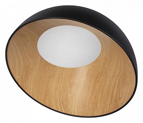 Накладной светильник Loft it Egg черный арт. 10197/500 Black
