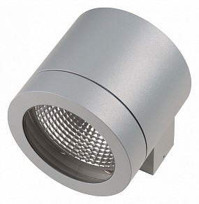 Накладной светильник Lightstar Paro серый арт. 350619