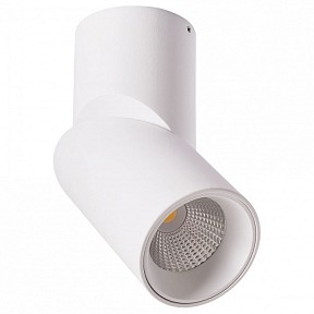 Накладной светильник Arte Lamp Orione белый арт. A7717PL-1WH