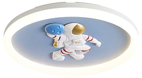 Накладной светильник Freya Cosmic черный арт. FR5457CL-L36B