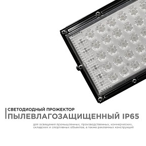 Прожектор Apeyron Electrics  черный арт. 05-45