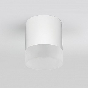 Накладной светильник Elektrostandard Light LED белый арт. 35140/H белый