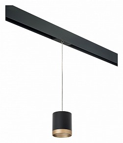 Подвесной светильник Lightstar Rullo черный арт. PRORP348790