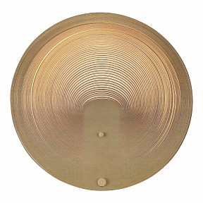 Накладной светильник ST-Luce Fossil белый арт. SL6900.501.16