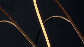 Лента светодиодная SWG PRO SWG-COB  арт. SWG-COB400-24-4.8-WW