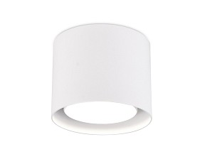 Накладной светильник Ambrella Light TN белый арт. TN700