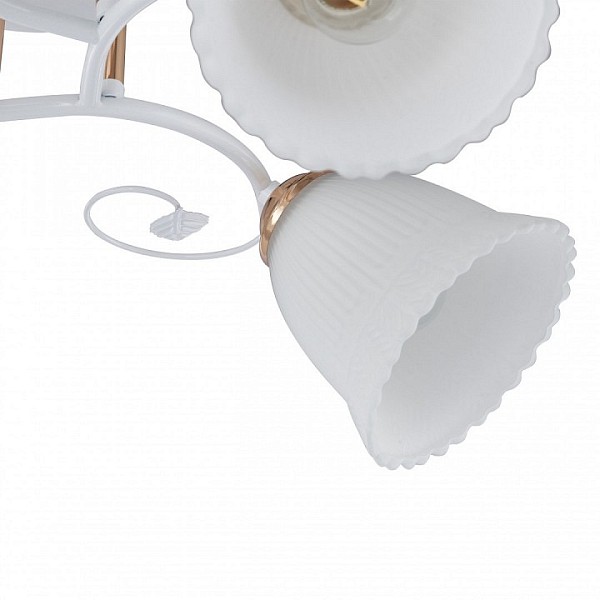 Потолочная люстра Arte Milano AMALFI-325395 белый арт. 325395/3A WH+FG