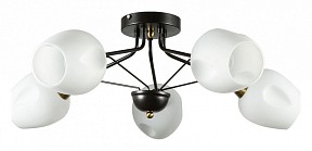 Потолочная люстра Arte Lamp Brighton черный арт. A2706PL-5CK