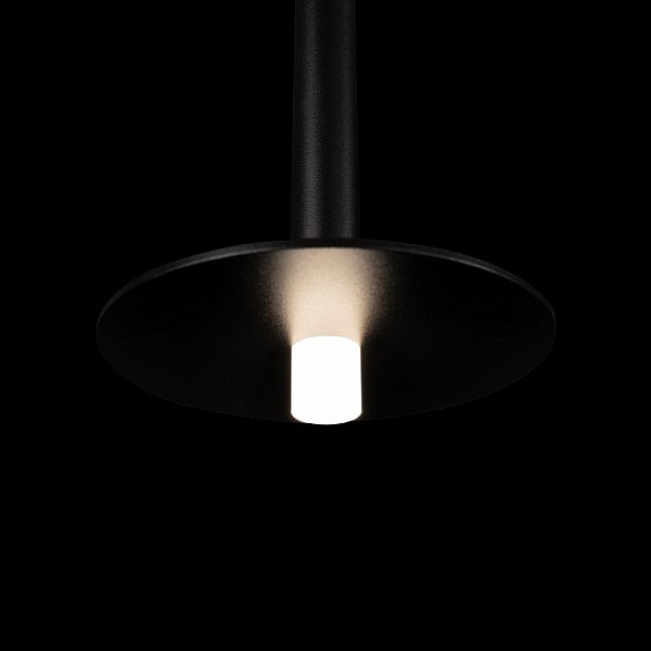 Подвесной светильник Loft it Reed черный арт. 10358/830 Disk