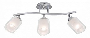 Спот Citilux Аэлита металл арт. CL169131