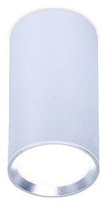 Накладной светильник Ambrella Light TN металл арт. TN219