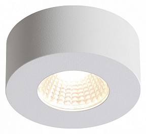 Накладной светильник Odeon Light Bene белый арт. 4282/7СL