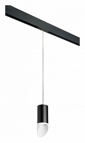 Подвесной светильник Lightstar Rullo черный арт. PRORP43736