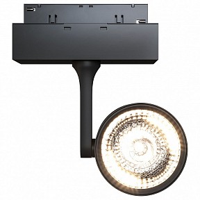 Светильник на штанге Maytoni Track lamps 3 черный арт. TR024-2-10B3K