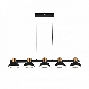 Подвесной светильник Indigo Traforo золото арт. 11059/5PL Black