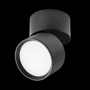 Накладной светильник Lightstar Acuto черный арт. 215837