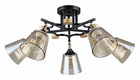 Люстра на штанге Arte Lamp Glassy черный арт. A5078PL-5BK