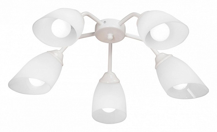 Потолочная люстра Vitaluce V31950 белый арт. V31950/5PL