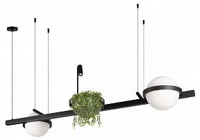 Подвесной светильник Loft it Jardin черный арт. 10121/D