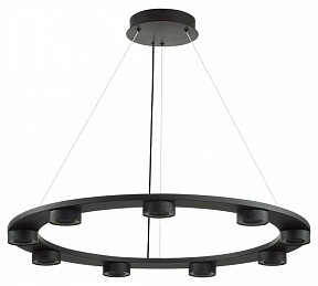 Подвесная люстра Odeon Light Turman черный арт. 6631/75L