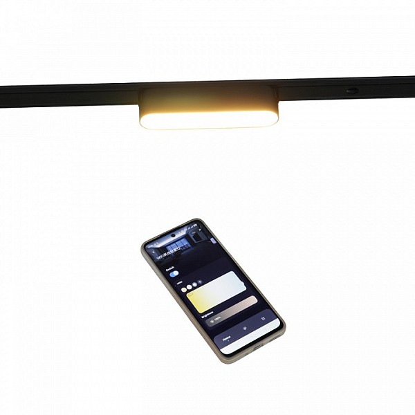 Накладной светильник Reluce 13001 черный арт. 13001-9.3-001UR magnetic LED6W BK CCT+SMART