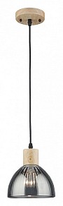 Подвесной светильник Arte Lamp Lancaster черный арт. A5869SP-1BK