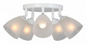 Потолочная люстра Vitaluce V4355 белый арт. V4355-0/5PL