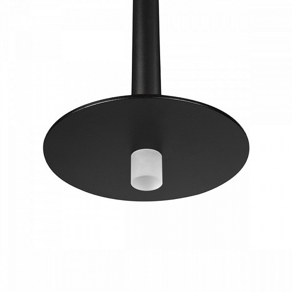 Подвесной светильник Loft it Reed черный арт. 10358/830 Disk