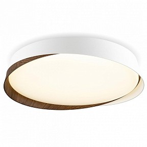 Накладной светильник Citilux BONNY белый арт. CL754350G