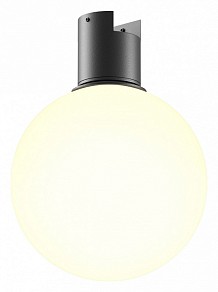 Накладной светильник Maytoni Luna черный арт. TR171-1-5W3K-WB