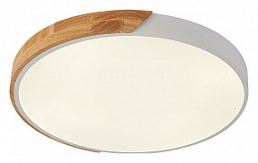 Накладной светильник Natali Kovaltseva Scandinavian белый арт. LED LAMPS 81182