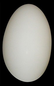 Накладной светильник Lightstar Sferetta металл арт. 801600
