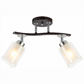 Спот Citilux Фортуна коричневый арт. CL156122