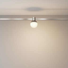 Накладной светильник Maytoni Technical Luna металл арт. TR149-1-5W3K-PT
