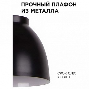 Подвесной светильник Apeyron Electrics  черный арт. 16-65