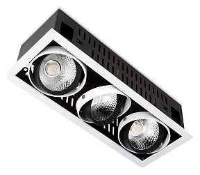 Встраиваемый светильник Ambrella Light Classic T81 белый арт. T813 BK/CH 3*12W 4200K