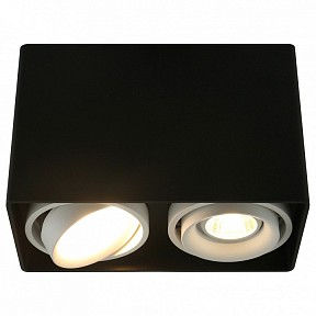 Накладной светильник Arte Lamp 5655 черный арт. A5655PL-2BK